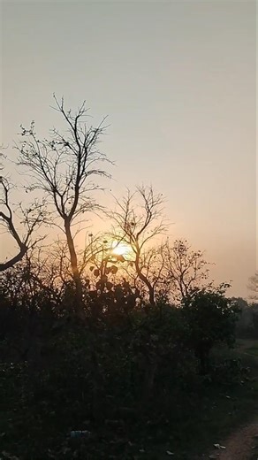 Duniya ek dhoka h#islamic#youtubeshorts