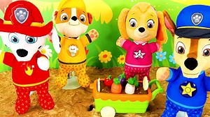 438K views · 5.5K reactions | Paw Patrol - Dia de Picnic 索 Ayudamos...