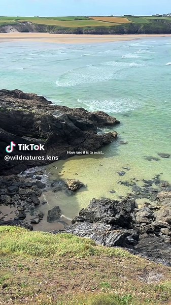 Exploring the Scenic Trails of Cornwall and Peak District