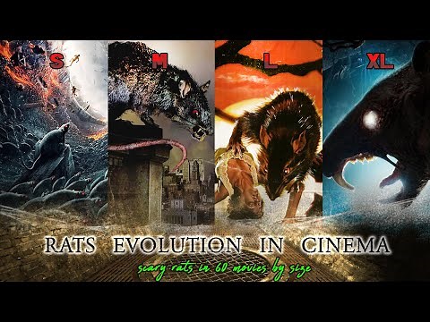 Rats Evolution in Cinema: Scary rats in 60 movies by size