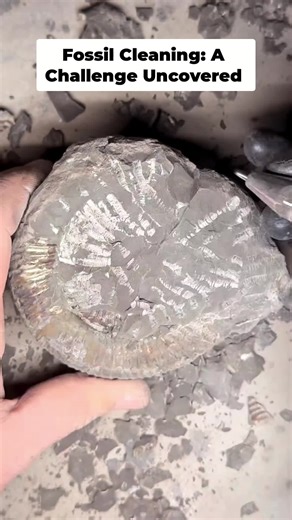 Unearthing Ancient Secrets: Fossil Preparation Techniques