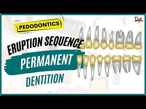 Teeth Eruption Sequence Mnemonic | Permanent Dentition