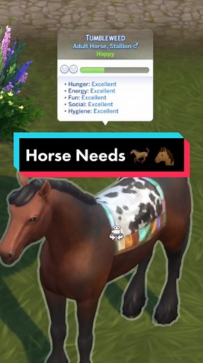 Understanding Horse Needs in The Sims 4 Horse Ranch