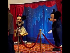 Mickey and Minnie Mouse at the Disneyland Wedding!