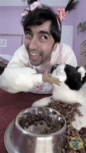 When Your Pet Is Feeling Down 😢🐾