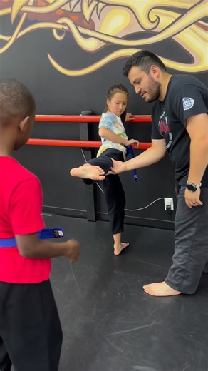 14 reactions | Working on leg control  | Iron Dragon Martial Arts | Facebook