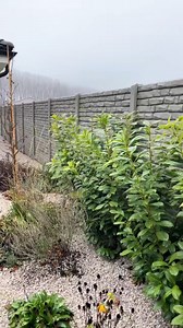 1M views · 10K reactions | Și tu vrei o casă parter?✅ | Idei Case | Facebook