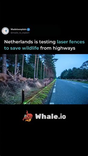 Made_to_Explain on Instagram: "The system works by creating an invisible boundary along the roadside. Unlike a physical fence, which can be expensive to build and sometimes blocks animal migration paths entirely, a laser fence uses a "break-the-beam" sensor system. When an animal approaches the road and interrupts the laser beam, it triggers a response—often a high-frequency sound or a specific light pattern—designed to startle the animal and deter it from crossing at that moment. Some advanced 