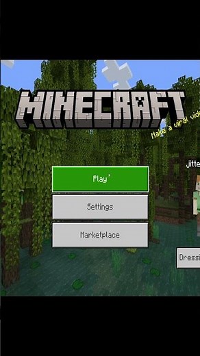 how to join the Minecraft earth SMP! (Java And Bedrock)