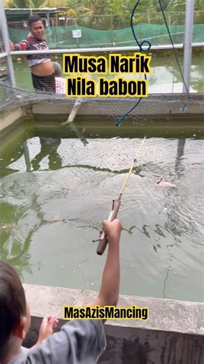 Musa narik babon nila kewalahan 😆 #shorts #mancing