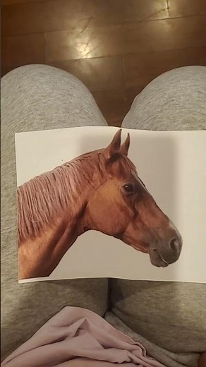 Baby Einstein Neighborhood Animals Horse