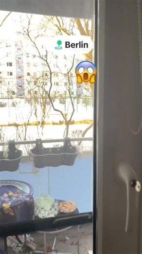 Exploring North Africa: Morocco, Tunisia, and Algeria