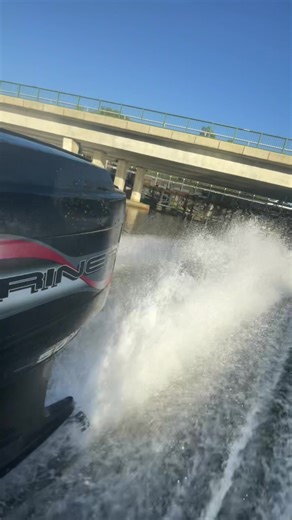 A Day at Murray River with Roosters and Boats