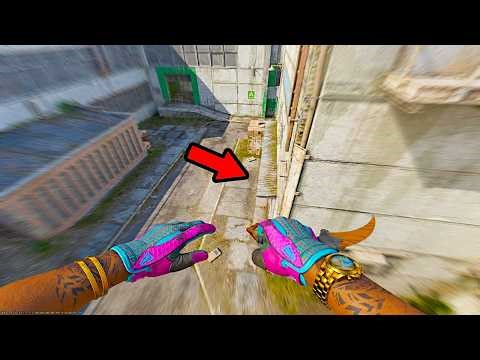 TESTING MOVEMENT ON THE NEW CACHE! /w Pawka, Carrot