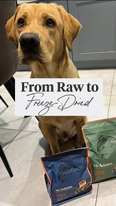 21 reactions | Raw Feeding, Made Easy. All the benefits of raw, none...