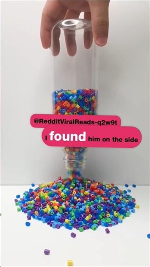 They Said This Injured Dog Wouldn’t Survive… 🥺