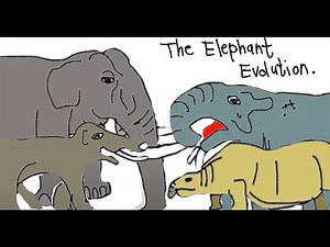 Elephant Evolution