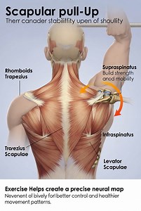 62K views · 1.1K reactions | Did you know that a classic straight...