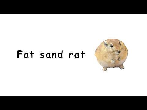 Goofiest names in science