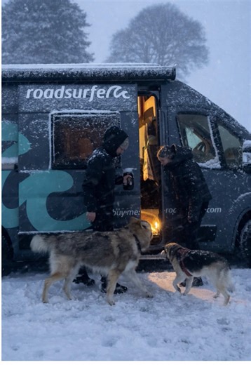 La définition de notre soirée parfaite en van 🫶🏻 Si vous souhaitez vous aussi louer un van chez @roadsurfer , vous avez 10% de réduction avec le code : FLO10 jusqu’au 09/03 ✅ *collaboration commerciale #vanlife #coupletravel #couplelife #lifewithdog