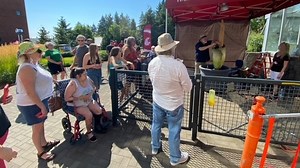 Blink and miss the deathly stink: WSU Vancouver's corpse flower blooms