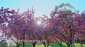 Visit Fresno invites you to view the world-famous Fresno Blossom trail