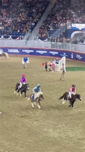 Magical Horse Club on Instagram: "Pony jumping @ The Royal agricultural winter fair"