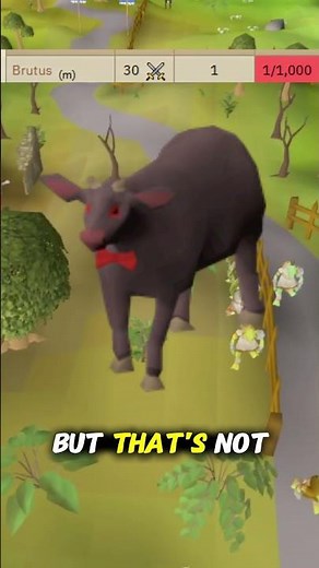 OSRS WEEKLY Game Update Breakdown | 25 Feb