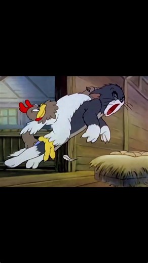 Animated channel on Instagram: "This video is a classic clip from the Tom and Jerry episode titled "Fine Feathered Friend," which originally aired on October 10, 1942. Characters and Scene Summary The scene takes place in a barn and features: • Tom Cat: Who is trying to sneakily steal eggs from a nest. • The Mother Hen: A protective hen who is determined to keep her eggs safe. • Jerry Mouse (implied/surrounding context): While not the primary focus of this specific snippet, Jerry often uses the