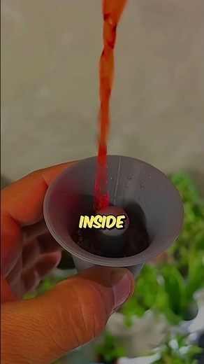 This Ancient Cup Punishes Greedy People 😱 #shorts #science