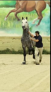 #drivesix | Six-Horse Hitch Classic Series