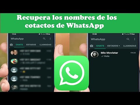 Se me borraron los nombres de los contactos de WhatsApp-Como recuperar los nombres en WhatsApp 2024