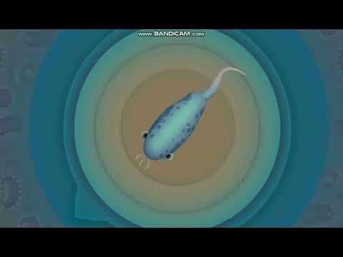 Evolution of Humans in Spore Part 3