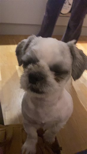 Skye (@skyetheunicornon)’s videos with