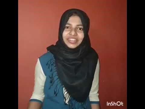 Art Integrated Project English| Class 11 S.N. Vidya Bhavan Chentrappini|