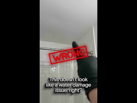 Is hidden mold impacting you?