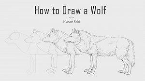 How to draw a wolf