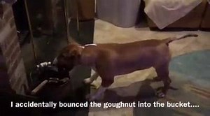 129 reactions · 11 comments | Bad ass goughnut took a wild bounce, made me angry it did! | Smeagol's Soapbox | Facebook