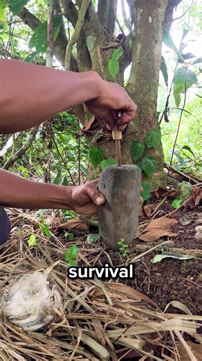 Footage: @DalemGumino Fire pistons are one of the most clever survival tools ever created, using nothing but air to create fire without a spark or flame. Long before matches or lighters existed, people across Southeast Asia and beyond relied on this precise wooden device to ignite tinder instantly. By rapidly compressing air inside a sealed chamber, temperatures spike high enough to cause combustion, a principle that would later influence modern engine design. #shorts #survival #primitive #ancie