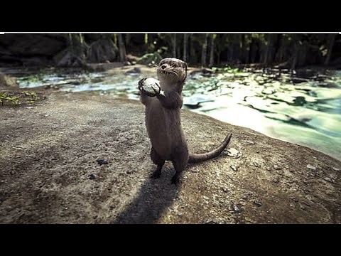 Ark | How to spawn a Otter with admin commands