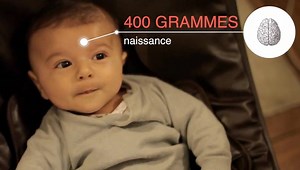 7.7K views · 62 reactions | Le cerveau des enfants, un potentiel infini ? 易 © JupiterFilms | Futura - Inspirons l'avenir | Facebook