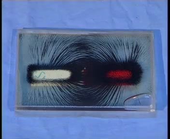 九年级物理：磁场的分布-视频素材