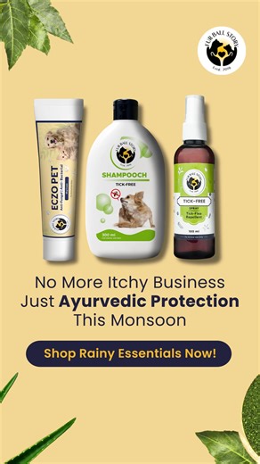 Powered by natural and Ayurvedic ingredients, our Rainy Essentials Combo keeps pets tick-free and skin-healthy this monsoon. 🌿 | Fur Ball Storyᵀᴹ