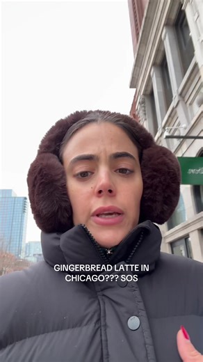 It’s December 1st aka gingerbread month Pls help, sincerely ur local Chicagoland furry