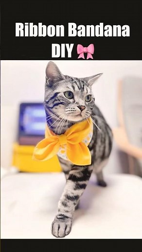 How to Make a Pet Bow Bandana ✂️ | Quick & Cute