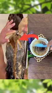 1.6M views · 12K reactions | ✅Hair Wash Tips For Silky Smooth Long Hair #beauty #hair #haircare | Simple Home Remedies | Facebook