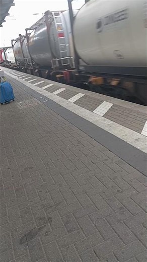 loads on goods carrier train #train #viral