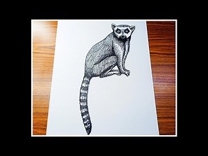 How to draw a Lemur. Easy Lemur drawing tutorial.