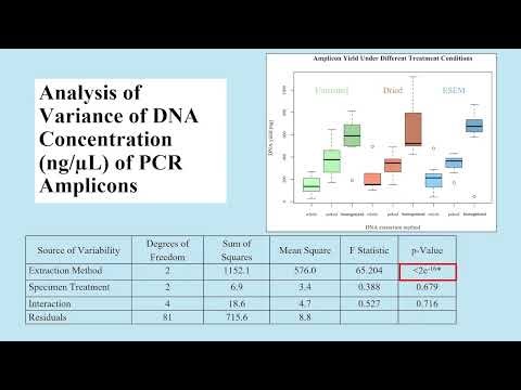 Blow Flies Under the Lens: Forensic DNA Retrieval Post-ESEM
