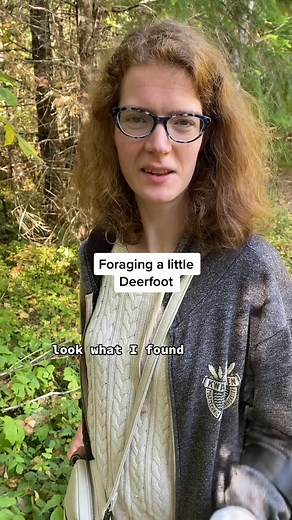 Walking in nature is super good for you and you’ll find lots of cool plants like Deerfoot #mothernature #goodforyou #comewithme #fallvibes #sidestix #gooutside #herbs #forage #plantlover